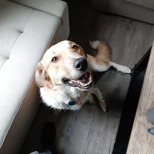 Meet your Posher, Jonny